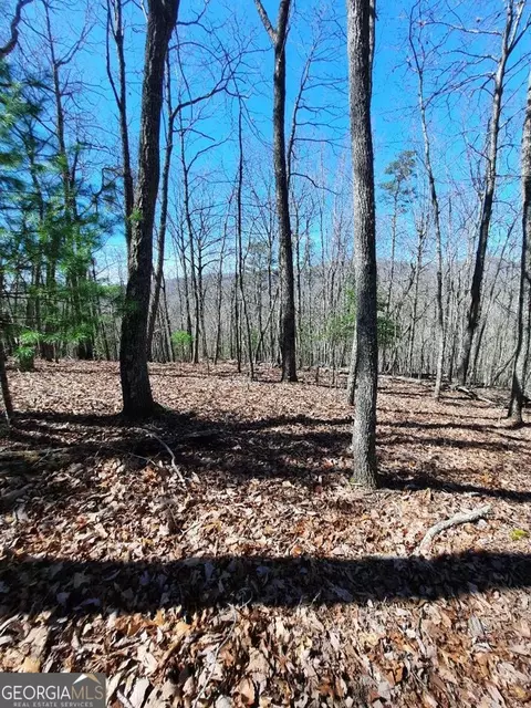 lot7 Quail Run Rdg, Murphy, NC 28906 photo 18