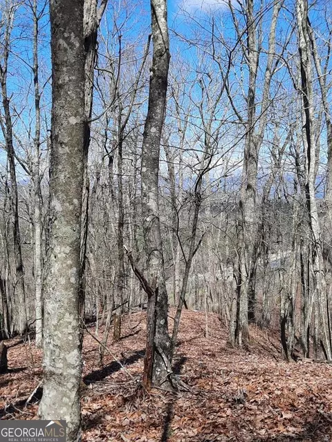 lot7 Quail Run Rdg, Murphy, NC 28906 photo 26