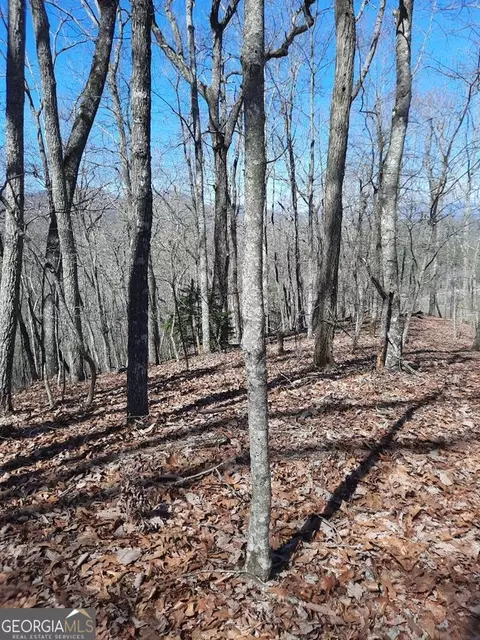 lot7 Quail Run Rdg, Murphy, NC 28906 photo 6