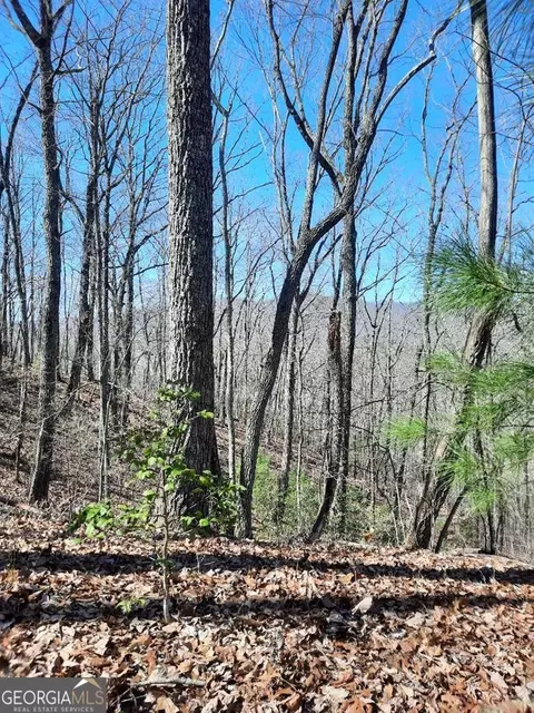 lot7 Quail Run Rdg, Murphy, NC 28906 photo 4