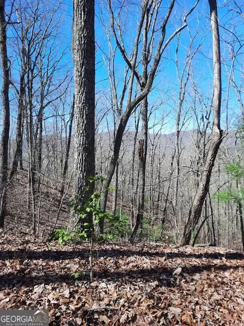 lot7 Quail Run Rdg, Murphy, NC 28906 photo 8