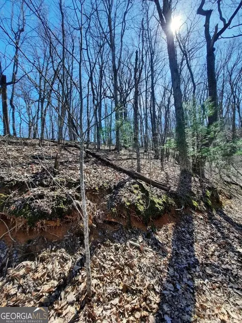 lot7 Quail Run Rdg, Murphy, NC 28906 photo 23