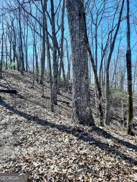 lot7 Quail Run Rdg, Murphy, NC 28906 photo 27
