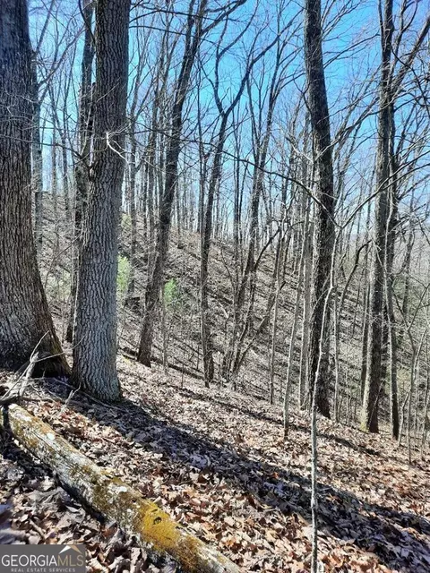 lot7 Quail Run Rdg, Murphy, NC 28906 photo 10