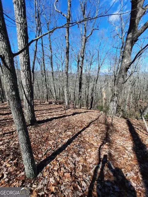 lot7 Quail Run Rdg, Murphy, NC 28906 photo 25