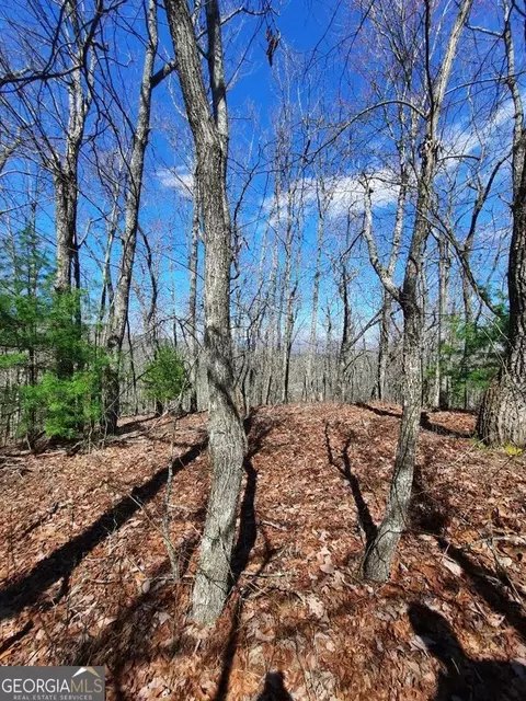 lot7 Quail Run Rdg, Murphy, NC 28906 photo 9