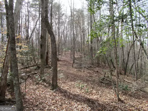 0 Long Branch Rd, Dahlonega, GA 30533