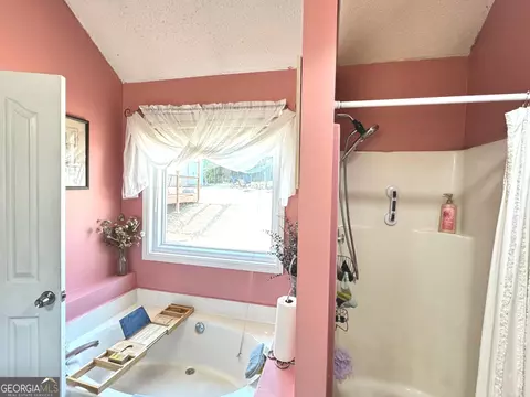 11061 Knotty Pine Pl, Hampton, GA 30228 photo 25