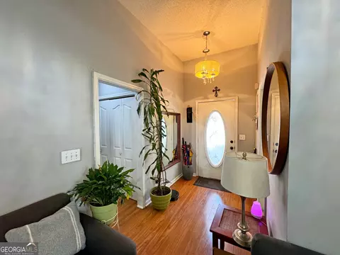 11061 Knotty Pine Pl, Hampton, GA 30228 photo 8