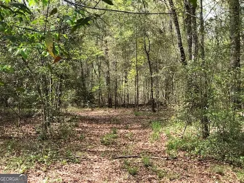 0 Wayback Rd, Edison, GA 39846 photo 12