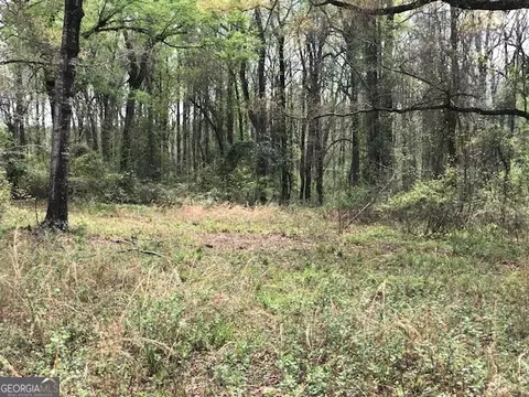 0 Wayback Rd, Edison, GA 39846 photo 16