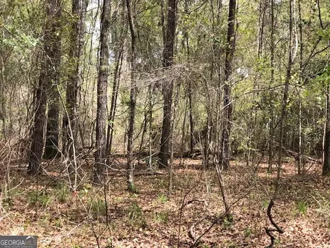 0 Wayback Rd, Edison, GA 39846 photo 15