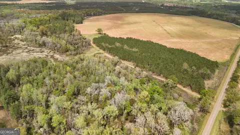 0 Wayback Rd, Edison, GA 39846