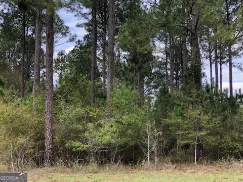 0 Wayback Rd, Edison, GA 39846 photo 19