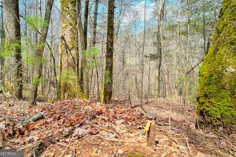 0 Bridgecreek Rd, Tiger, GA 30576