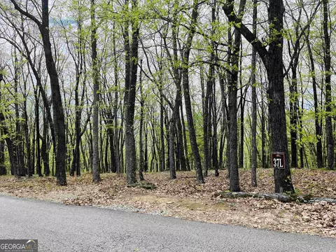 0 Mountainside Dr #LOT 37, Cleveland, GA 30528