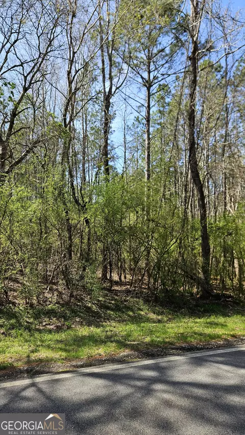 lot4 Penfield Rd, Greensboro, GA 30642