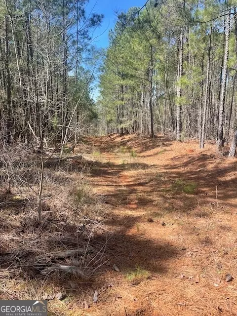 lot7 Shiloh Rd, Greensboro, GA 30642