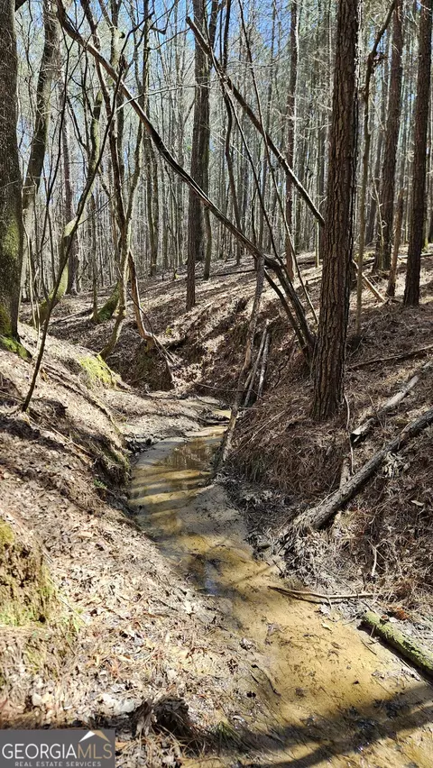 lot6 Shiloh Rd, Greensboro, GA 30642