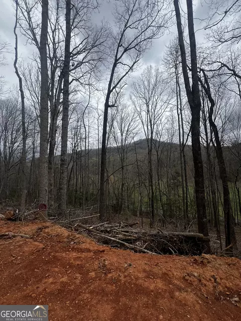 0 Peckerwood Rd, Hayesville, NC 28904