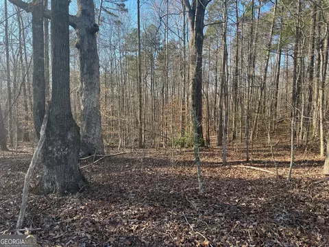 0 Soapstone Rd, Baldwin, GA 30511 photo 12