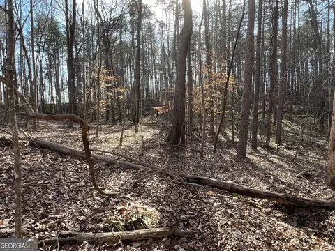 0 Soapstone Rd, Baldwin, GA 30511 photo 54