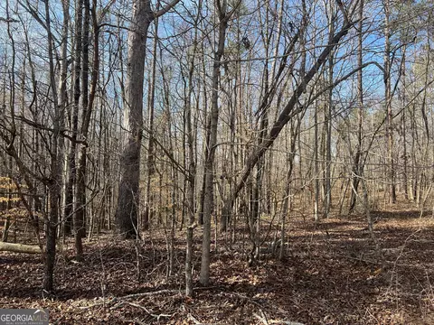 0 Soapstone Rd, Baldwin, GA 30511 photo 9