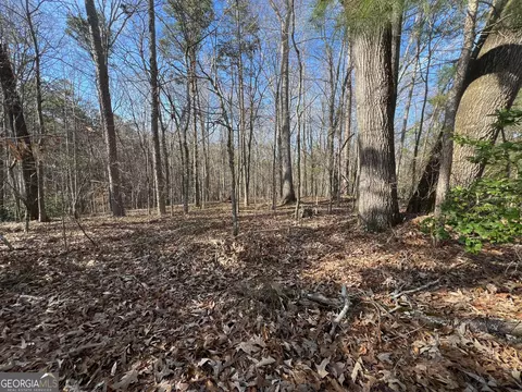 0 Soapstone Rd, Baldwin, GA 30511 photo 62