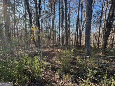 0 Soapstone Rd, Baldwin, GA 30511 photo 13