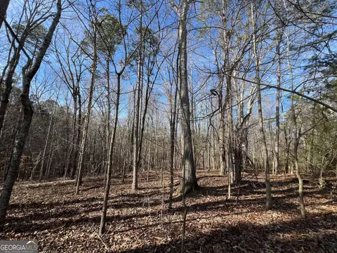 0 Soapstone Rd, Baldwin, GA 30511 photo 59