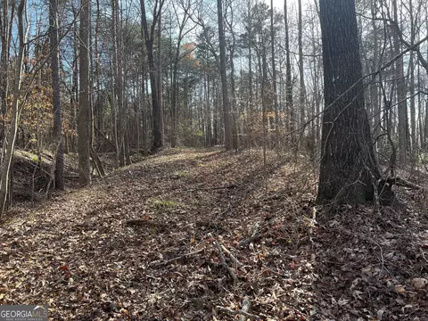 0 Soapstone Rd, Baldwin, GA 30511 photo 42