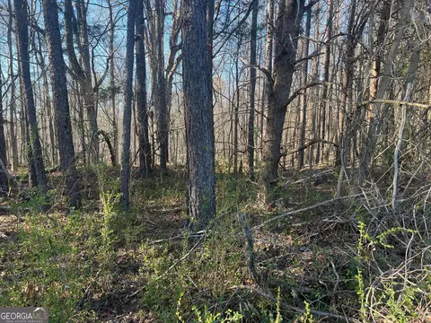 0 Soapstone Rd, Baldwin, GA 30511 photo 14