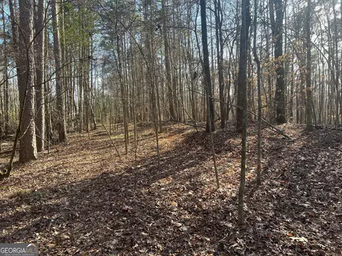 0 Soapstone Rd, Baldwin, GA 30511 photo 32
