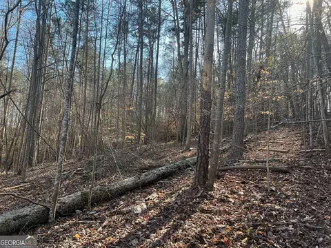 0 Soapstone Rd, Baldwin, GA 30511 photo 45