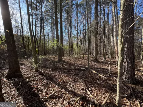 0 Soapstone Rd, Baldwin, GA 30511 photo 19