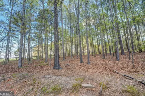 2126 Jones Phillips Rd, Dacula, GA 30019 photo 63