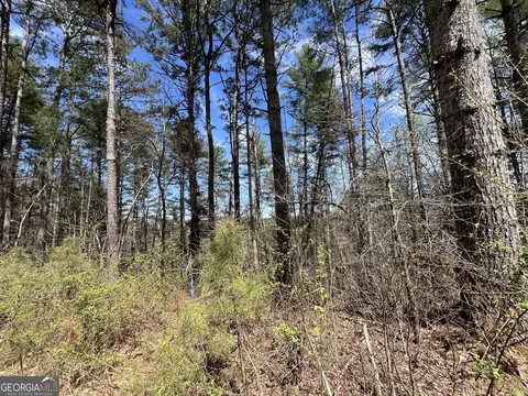 lot131 Jumper Dr, Ellijay, GA 30540
