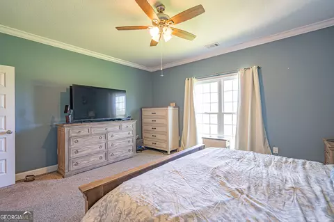 6892 Old River Rd S, Brooklet, GA 30415 photo 26