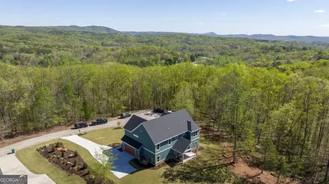 Other - 114 Planters Pointe Ct, Baldwin, GA 30511 photo 23 of 24