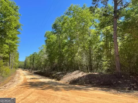 0 Farmers Rd, Alamo, GA 30411
