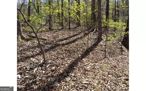 M99 Sleepy Hollow Road #M99, Ellijay, GA 30536