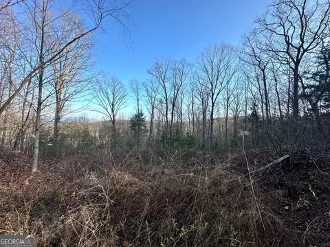 421 Plantation Ln #11, Blue Ridge, GA 30513
