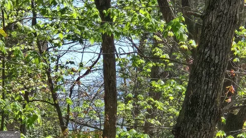 lot365 Pocaset Dr, Ellijay, GA 30540