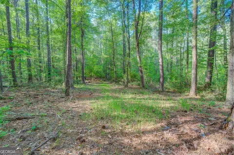 2445 Highway 16 E, Jackson, GA 30233 photo 45