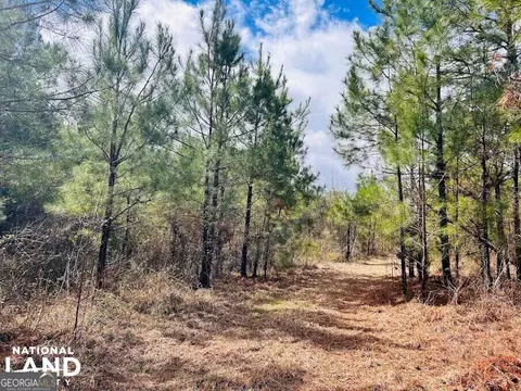 0 Highway 26 W, Buena Vista, GA 31803