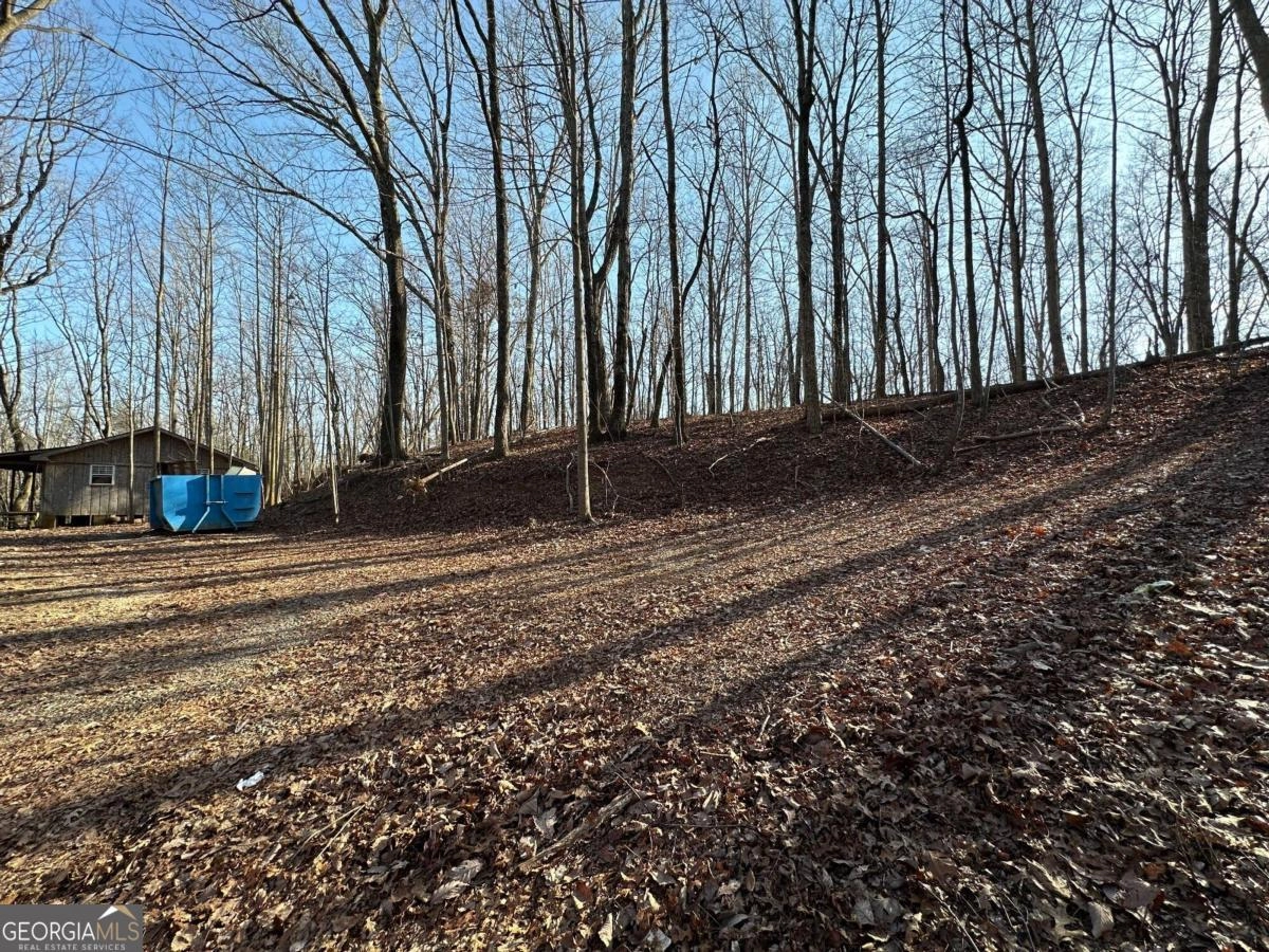 233 Dorothy Saine Dr