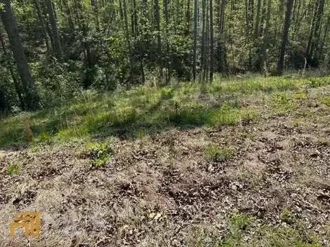 10 Acre Estates, Toccoa, GA 30577 photo 3