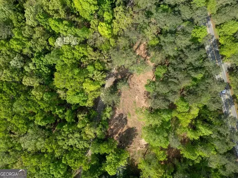 1240 Summit Rd, Milton, GA 30004 photo 5