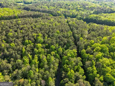 723 Channing Cope Rd, Covington, GA 30016 photo 28