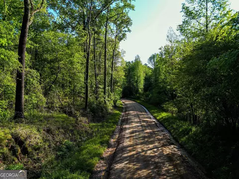 723 Channing Cope Rd, Covington, GA 30016 photo 9
